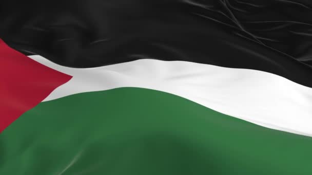 Integetett Szél Végtelenített Zászló Háttérben Palesztina — Stock videók
