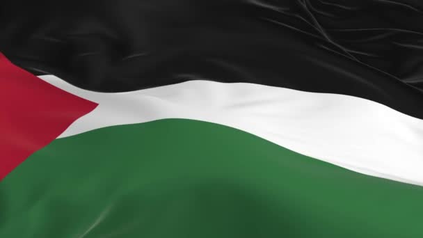agitant dans le vent un drapeau en boucle comme fond Palestine 