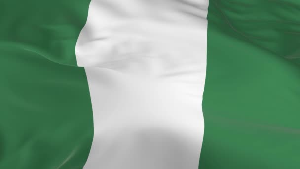 Agitant Dans Vent Drapeau Boucle Comme Fond Nigeria — Video