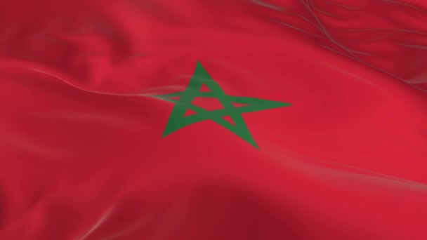 Waving Wind Looped Flag Background Morocco — Stock Video