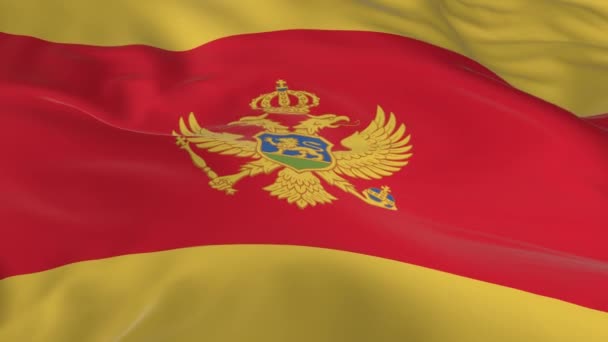 Waving Wind Looped Flag Background Montenegro — Stock Video