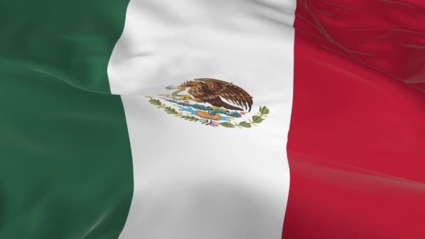 Размахивая Ветру Зацикленным Флагом Фоне Мексики — стоковое видео