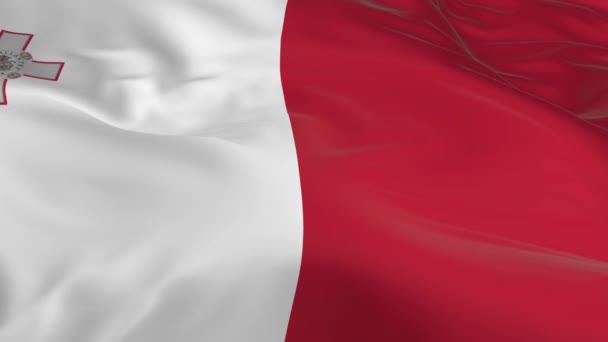 Waving Wind Looped Flag Background Malta — Stock Video