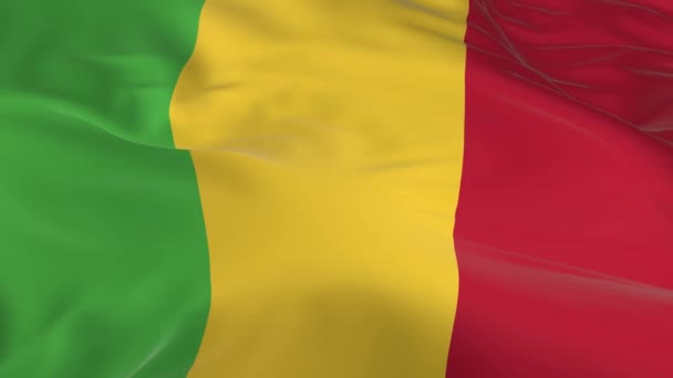 Размахивая Ветру Зацикленным Флагом Фоновом Режиме Мали — стоковое видео