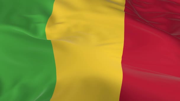 Vajande Vinden Loopas Flagga Som Bakgrund Mali — Stockvideo