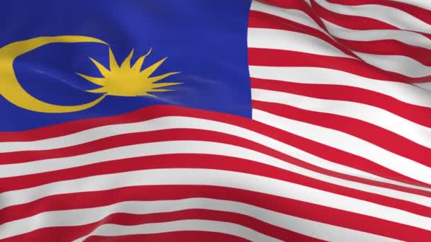 Waving Wind Looped Flag Background Malaysia — Stock Video