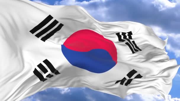 Zászló Integet Szél Ellen Kék Dél Korea — Stock videók