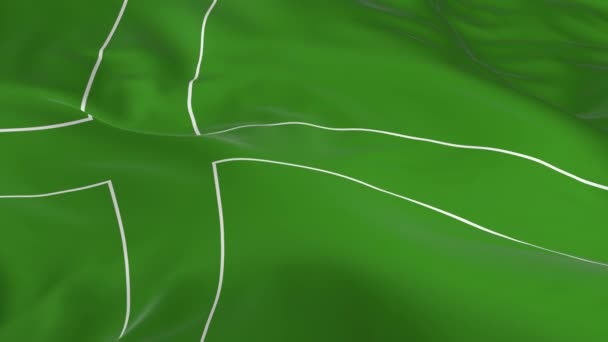 Размахивая Ветру Зацикленным Флагом Фоне Ладонии — стоковое видео