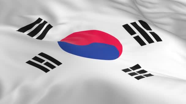 Vlag Zwaaien Wind Lus Als Achtergrond Zuid Korea — Stockvideo