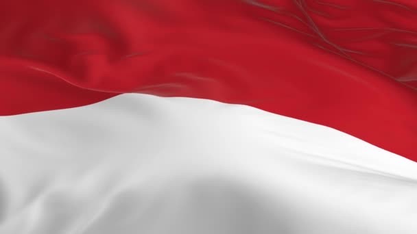 Flagge Wind Schwenkend Als Hintergrund Indonesien — Stockvideo