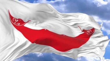 Paskalya Adası Rapa Nui bayrak mavi karşı rüzgarda sallayarak gökyüzü