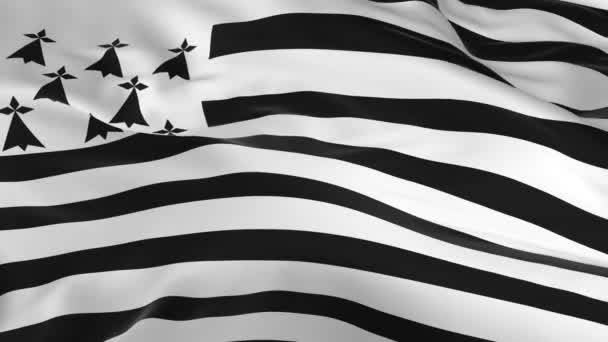 Waving Wind Looped Flag Background Brittany — Stock Video