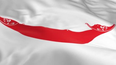 rüzgarda sallayarak bayrak Paskalya Adası Rapa Nui arka plan olarak ilmekledi