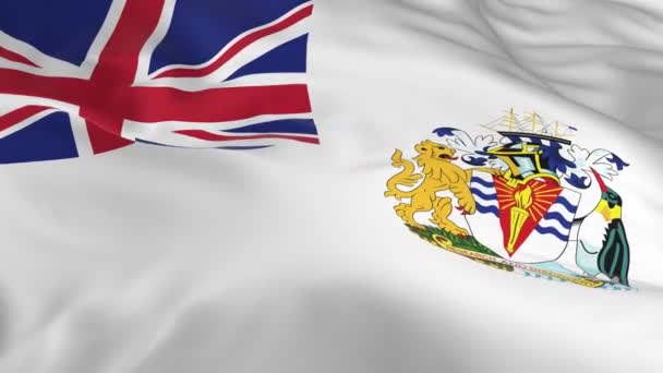 Vajande Vinden Loopas Flagga Som Bakgrund Brittiska Antarktiska Territoriet — Stockvideo
