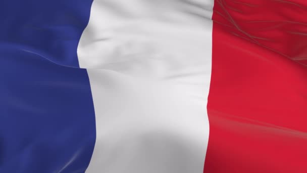 Sventolando Nel Vento Sventolato Bandiera Come Sfondo Francia — Video Stock