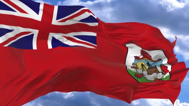 Drapeau Agitant Dans Vent Contre Ciel Bleu Bermudes — Video