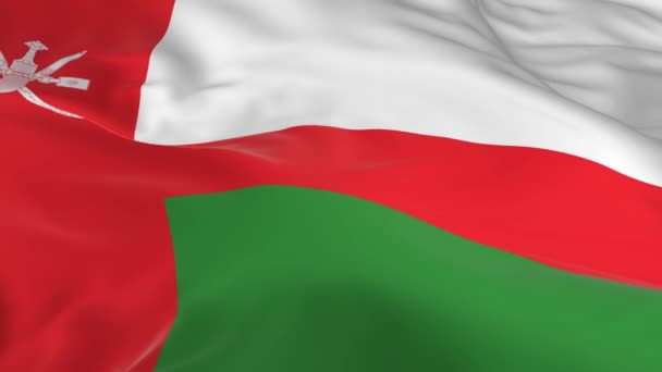 Vlag Zwaaien Wind Lus Als Achtergrond Oman — Stockvideo