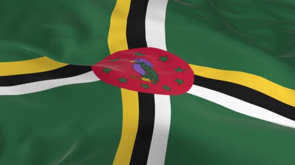 Ondeando Viento Enloquecido Bandera Como Fondo Dominica — Vídeo de stock