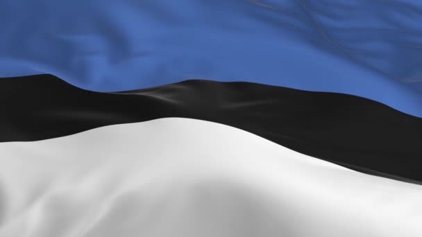 Macha Wietrze Zapętlony Flaga Tle Estonii — Wideo stockowe