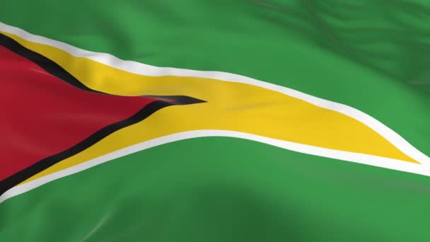 Ondeando Viento Ondeó Bandera Como Fondo Guyana — Vídeo de stock