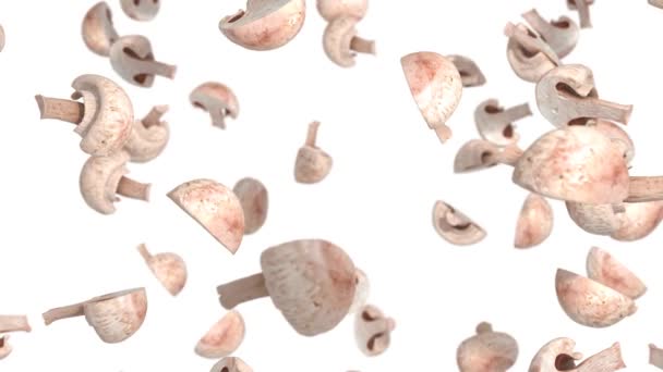 Cogumelos Rodopiando Turbilhão Com Transparência Canal Alfa — Vídeo de Stock