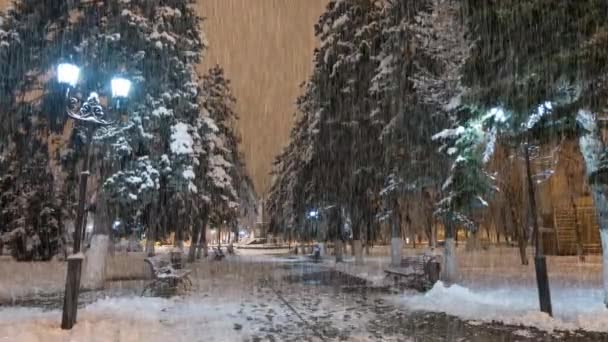Ночной Зимний Парк Накладываемым Эффектом Мистического Дождя — стоковое видео