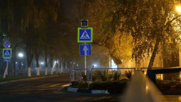 黄色的交通灯在雾蒙蒙的秋日早晨提前闪烁 — 图库视频影像