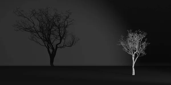 tree without leaves casts a shadow on a dark wall, 3d illustration