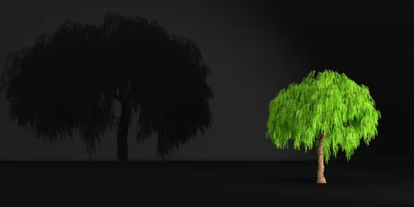 Árbol Verde Proyecta Una Sombra Una Pared Oscura Ilustración — Foto de Stock