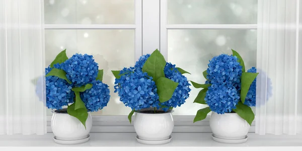 Três Vasos Com Belas Flores Azuis Peitoril Janela Uma Ampla — Fotografia de Stock