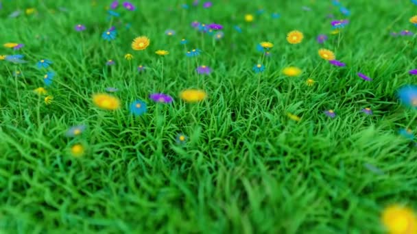 Camera Moves Grassy Clearing Colorful Spring Flowers Daisies Good Bokeh — Stock Video