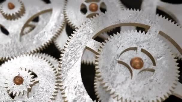 Camera Moves Rotating Gears Focuses Inscription Calculate Gear — Stock Video