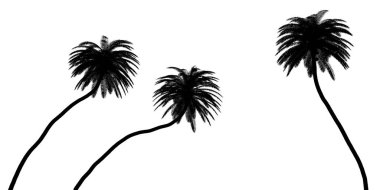 Üç siyah tropikal bitki silueti beyaz arka planda, üç boyutlu illüstrasyon üzerine kapanır.