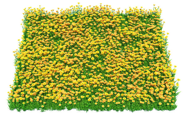 solid carpet of yellow flowers close-up, 3d illustration