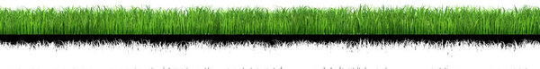 green grass for use in collage with alpha transparency channel, 3d illustration