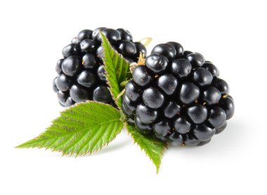 Blackberry beyazda izole edildi.