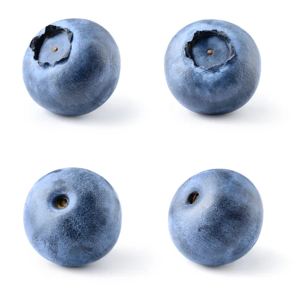 Blueberry Bilberry Berries Isolated White Background Collection Clipping Path — Stock Photo, Image
