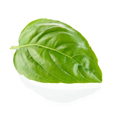 fesleğen yaprağı üzerinde beyaz izole