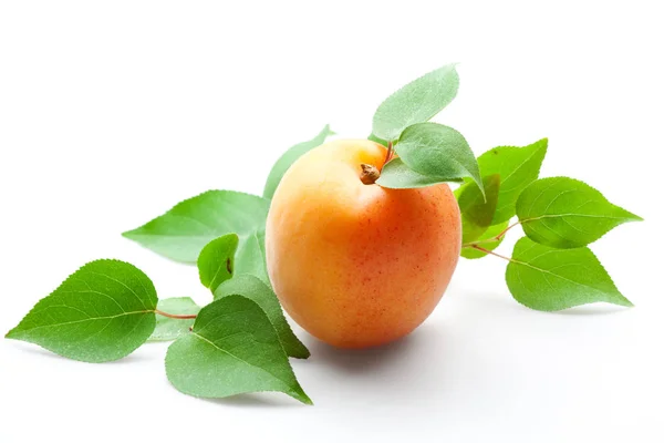 Aprikose Mit Blättern Isoliert Auf Weiß — Stockfoto