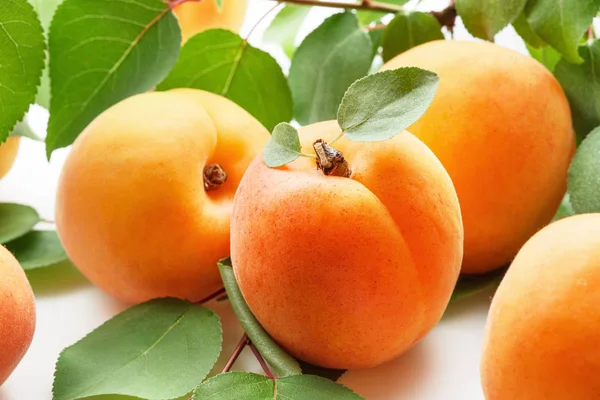 Frische Aprikose Aprikosen Mit Blättern — Stockfoto