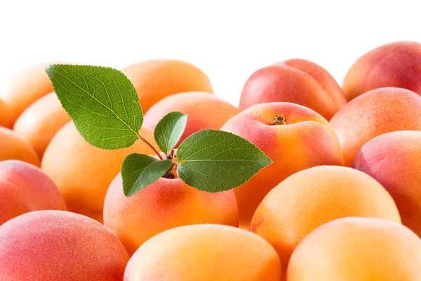 Apricot Leaf Apricot Background Apricots — Stock Photo, Image