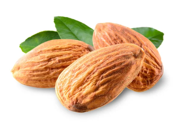 Almond Nuts Leaves Isolated White Background — Stock Photo, Image