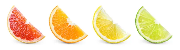 Citrusvruchten. Sinaasappel, citroen, limoen, grapefruit. Schijven geïsoleerd o — Stockfoto