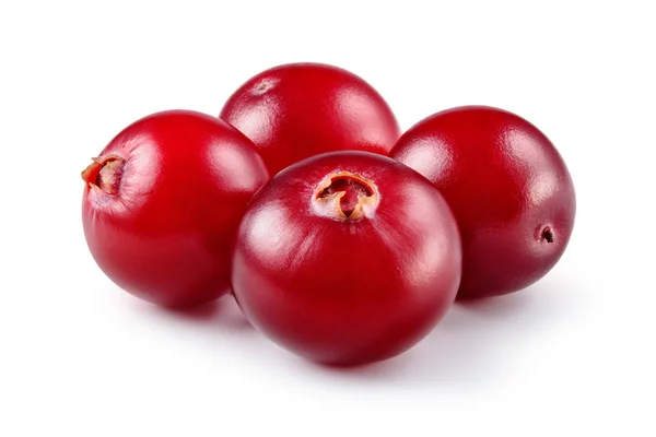 Cranberry. Empat buah beri diisolasi dengan latar belakang putih. Kedalaman penuh — Stok Foto