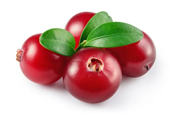 Cranberry with leaves isolated on white. With clipping path. Ful — Stock Photo, Image