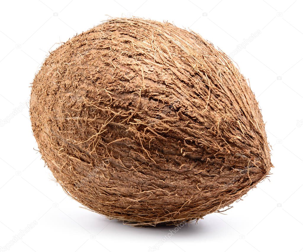 Coconut isolated on white background. Full depth of field.