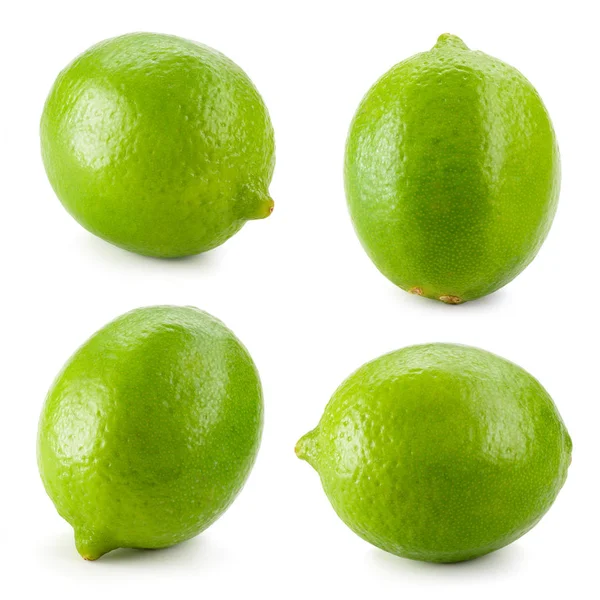 Kalk. Verse citrusvruchten geïsoleerd op witte achtergrond. Collectio — Stockfoto