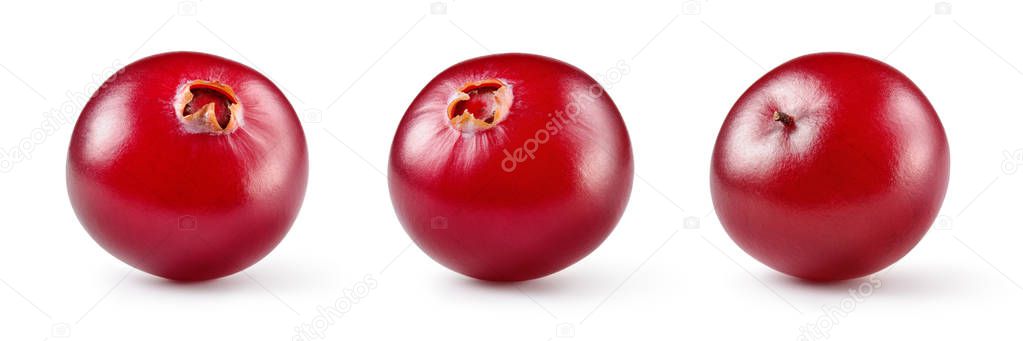 Cranberry. Fresh raw berries isolated on white background. Colle