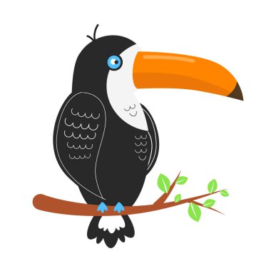 Tukan kuş çizimi. Toucan yapraklı bir dalda oturuyor..
