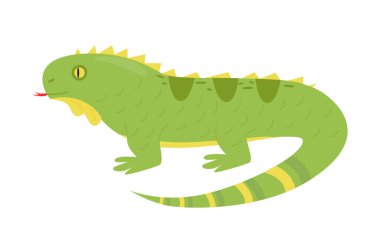 Bir iguana tasviri. Kertenkele karakteri.